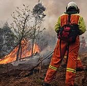Asturias arde: hay más de un centenar de incendios activos y las llamas se acercan a Oviedo