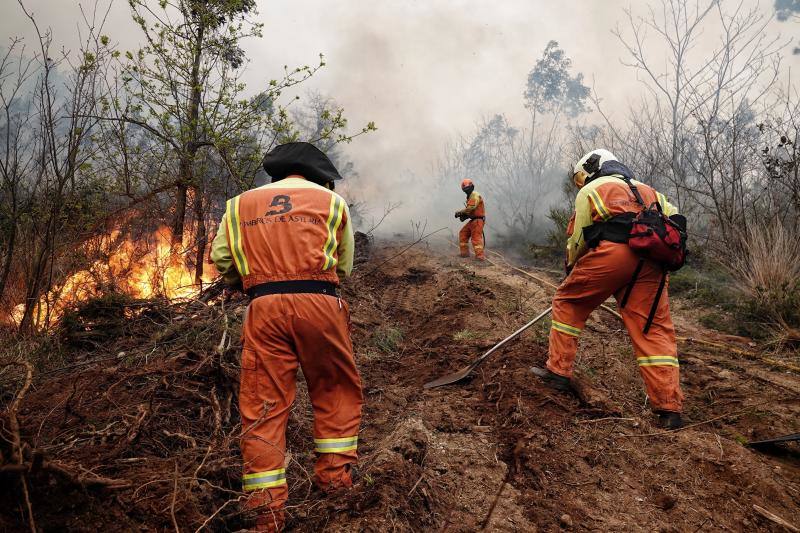 Varios bomberos asturianos trabajan en las labores de extinción en  los concejos de Valdés y Tineo