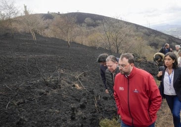 Los ganaderos responden a Barbón sobre los incendios: «No se puede hablar de terrorismo tras años sin política forestal»