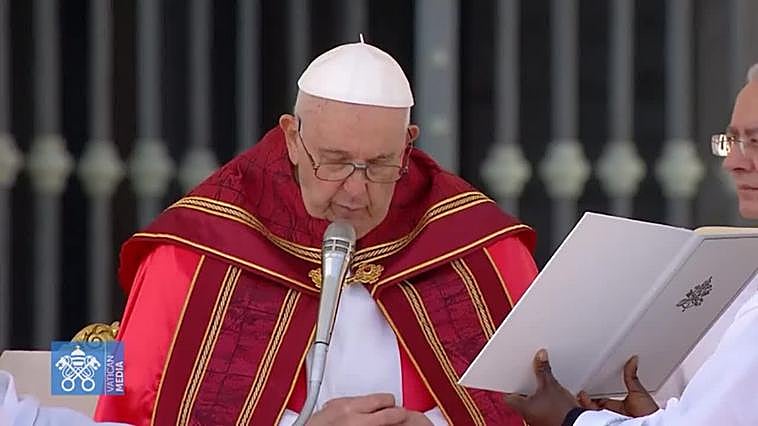El Papa preside el Domingo de Ramos