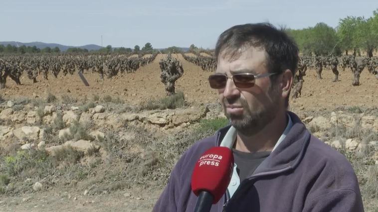 La sequía pone en una situación "crítica" a la zona agrícola de Utiel-Requena (Valencia)