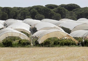 Bruselas advierte de que utilizará «todos los medios a su alcance» para garantizar la protección de Doñana