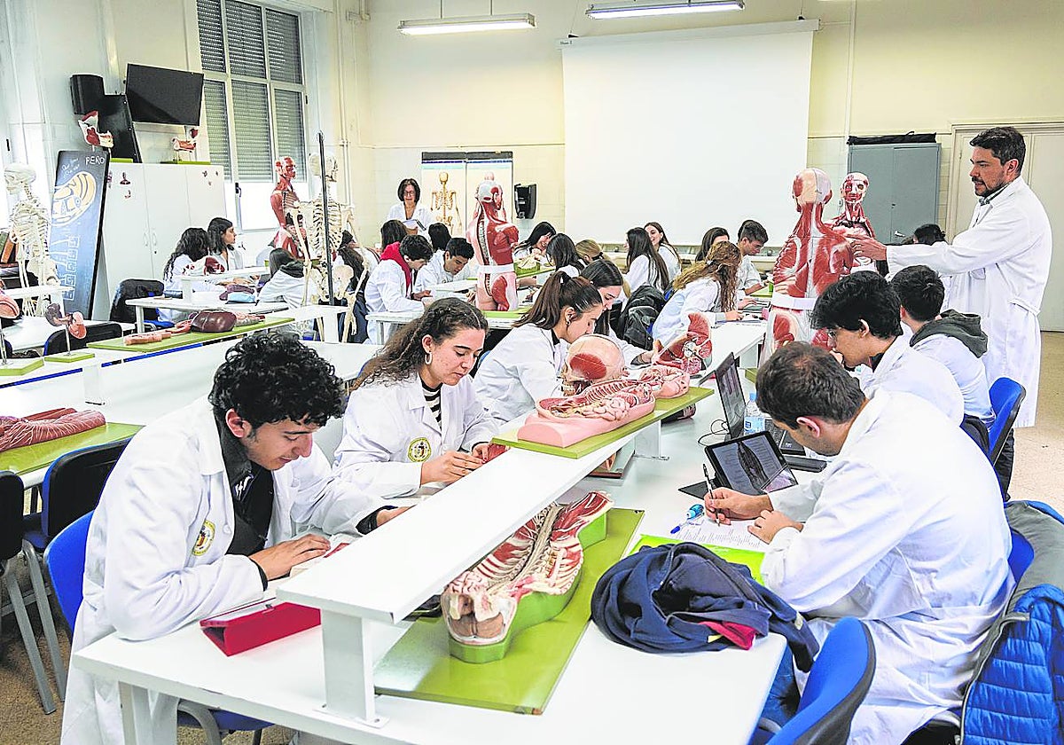 Clase de disección en una facultad de Medicina en España