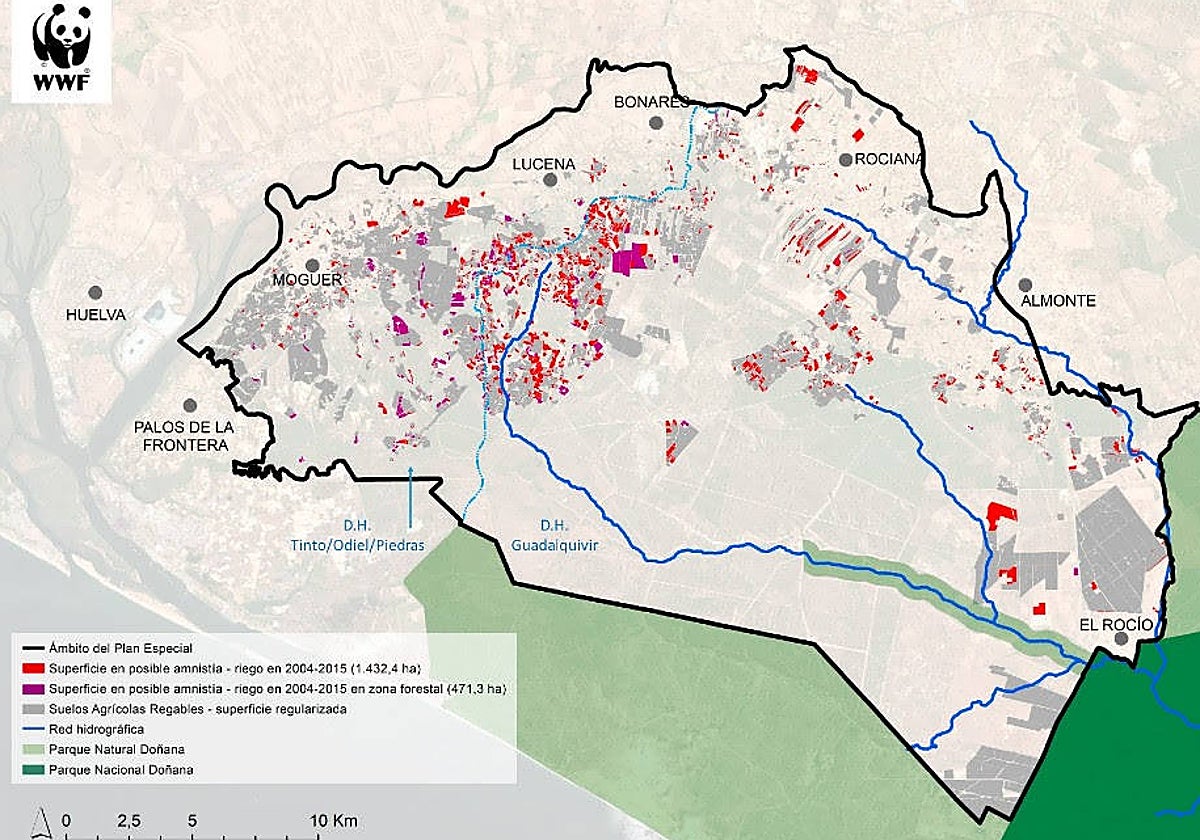 WWF calcula que la propuesta de Doñana incrementará hasta un 20% las hectáreas de regadío en la zona