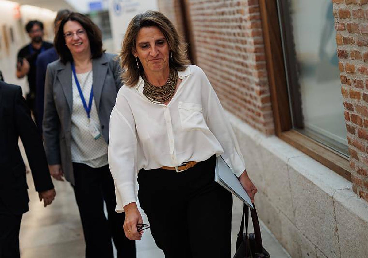 La ministra de Transición Ecológica y Reto Demográfico, Teresa Ribera, en una imagen de archivo