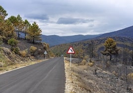 El incendio de Las Hurdes se estabiliza y los vecinos de Ovejuela regresan a sus hogares