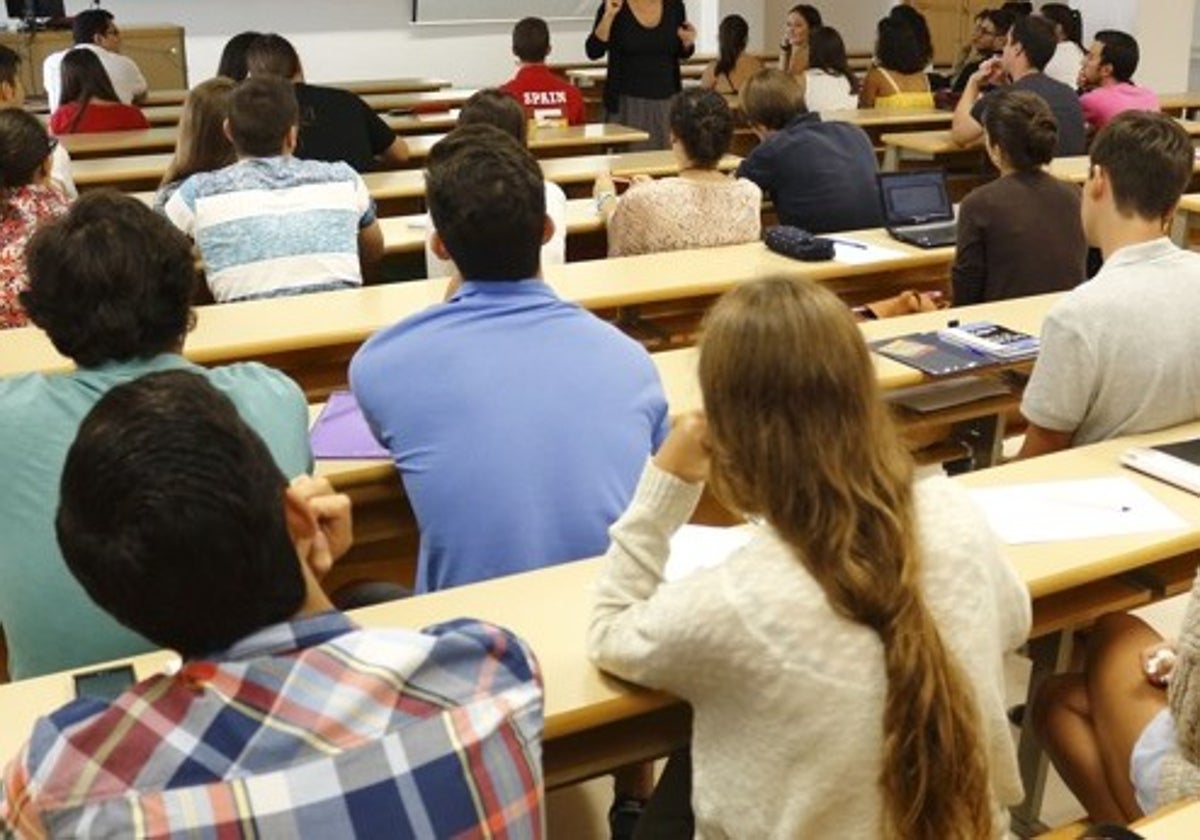 La elección por la formación profesional es creciente