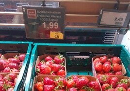 Los supermercados alemanes mantienen el boicot a la fresa española