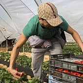 «No veo a Macron dejando que un grupo alemanes viaje para ver cómo se destrozan los hígados de ocas para hacer foie»