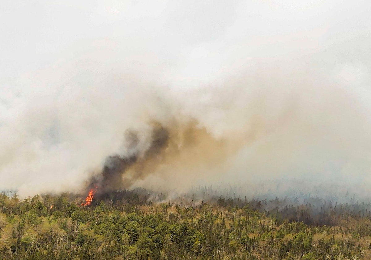 Vista del incendio forestal de Barrington Lake, Nueva Escocia