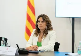 La Generalitat prevé indemnizar con 90 euros a las personas que deban repetir la caótica oposición de abril