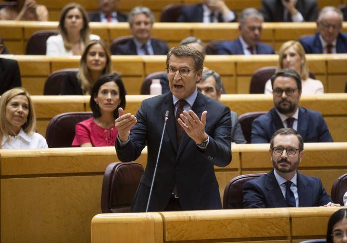 Sesión de control al presidente, Pedro Sánchez en el Senado y con la primera intervención del presidente del PP, Alberto Núñez Feijoo