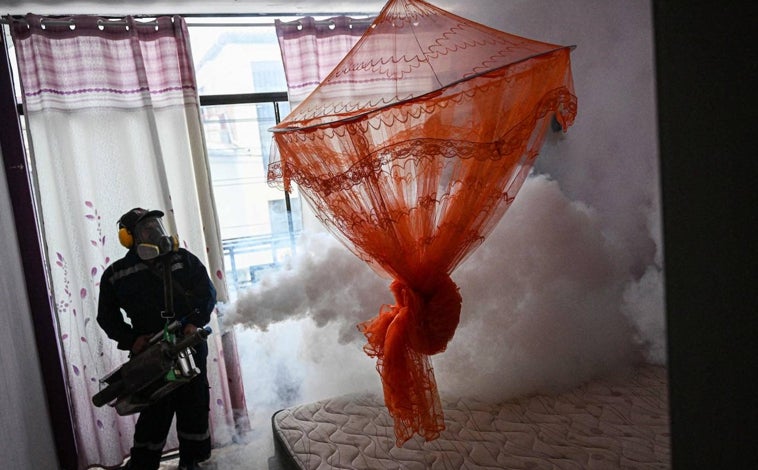 Imagen principal - El brote de dengue en Perú satura los hospitales con 200 muertes y más de 130.000 casos