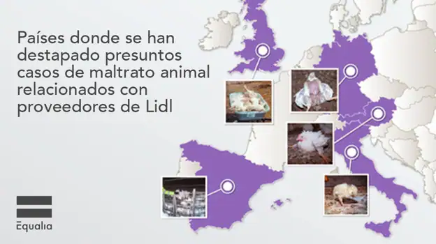 Países donde se han destapado presuntos casos de maltrato animal relacionados con proveedores de Lidl