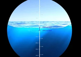 El impactante vídeo de la NASA que muestra el aumento del nivel del mar desde 1993