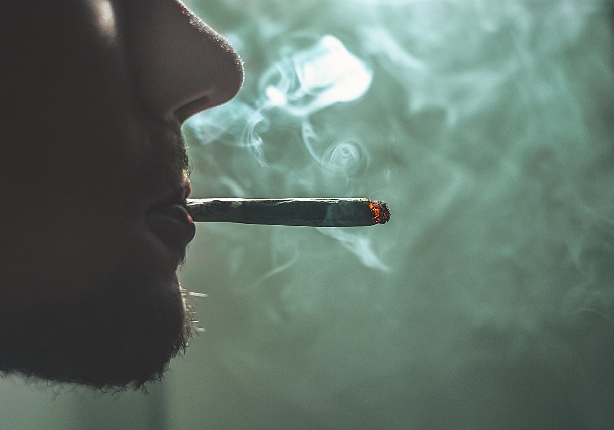 El cannabis sigue siendo la droga más popular en el mundo