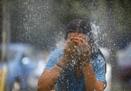 Al menos once muertos por una ola de calor de más de 43 grados  en el sur de EE.UU.