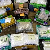 Estados Unidos busca el apoyo de China para su 'Coalición Global contra las Drogas Sintéticas'