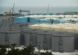 China prohíbe importar alimentos de varias regiones de Japón ante el vertido del agua tratada de Fukushima