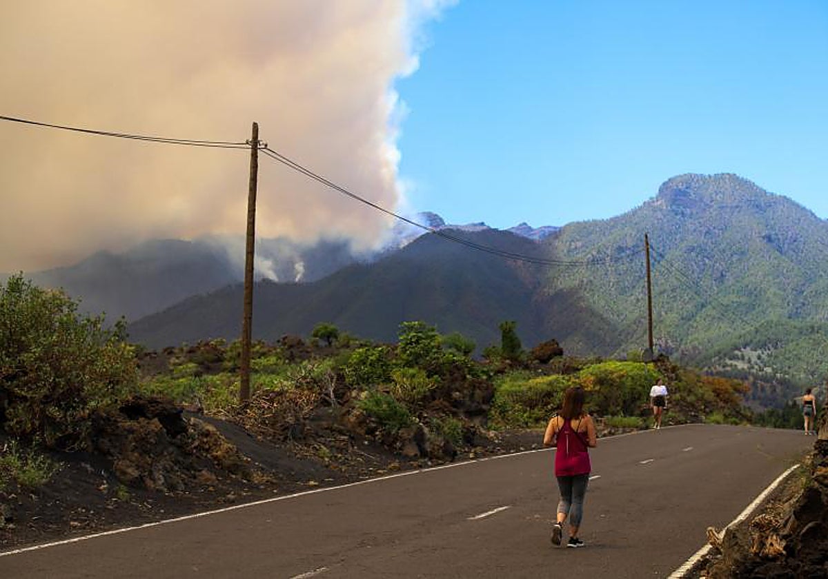 Vista desde el municipio de Los Llanos de Aridane de la columna de humo del incendio forestal declarado en Puntagorda en la madrugada de este sábado en la isla de La Palma
