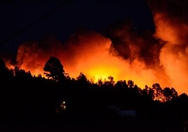 El Gobierno de Canarias declara la alerta por riesgo de incendios forestales