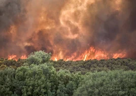 El calor rompe récords en medio mundo y desata incendios sin control