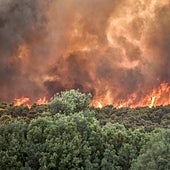 El calor rompe récords en medio mundo y desata incendios sin control