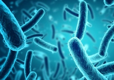 Qué es el botulismo en las tortillas de patatas: cómo se transmite, qué síntomas presenta y cómo se trata