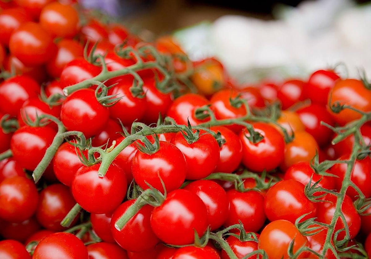 La mayoría de los casos se han notificado entre octubre de 2022 y marzo de 2023