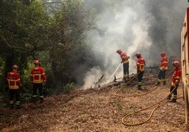 El último gran incendio en el Alentejo portugués ha devorado ya 10.000 hectáreas