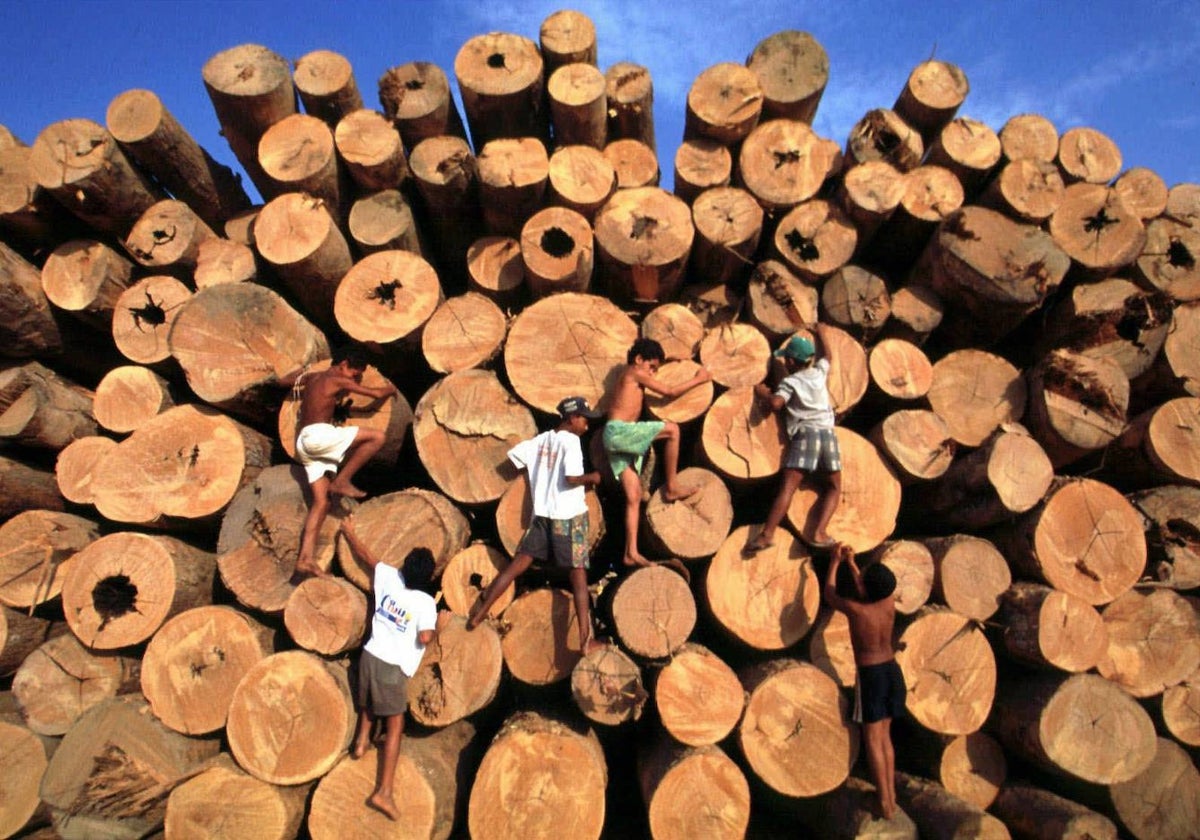 Unos niños juegan alrededor de una pila de troncos del Amazonas en una imagen de archivo