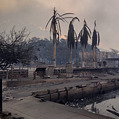 El fuego convierte la joya de Hawái en un infierno: «Es como si hubiera caído una bomba, no queda nada»