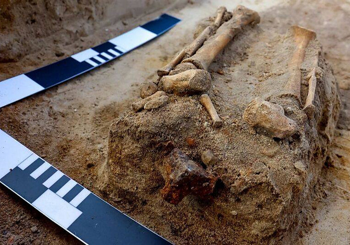 Imagen facilitada por la universidad con su descubrimiento