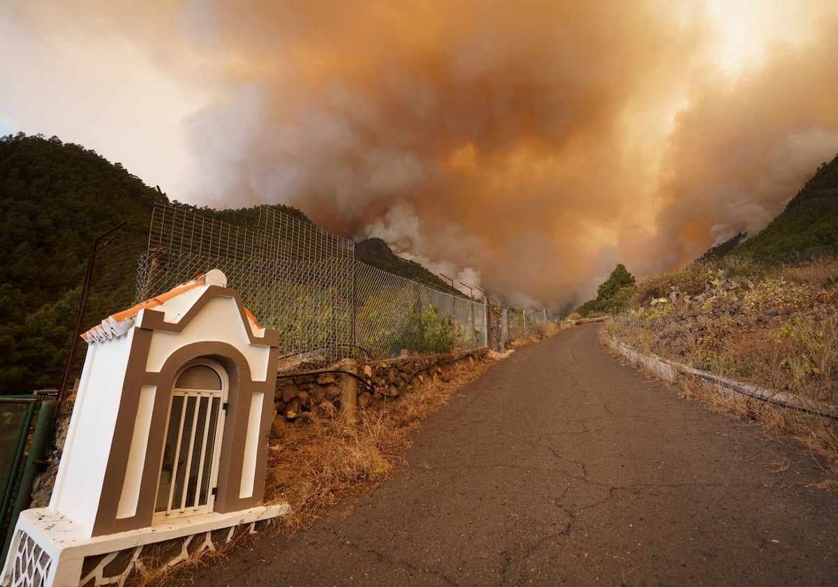 La superficie afectada por el incendio forestal declarado la pasada noche en Tenerife se calcula en unas 1.200 hectáreas