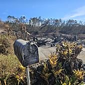 Hawái busca a las víctimas que devoró el fuego: «Muchos niños estaban solos en casa y tememos que estén muertos»