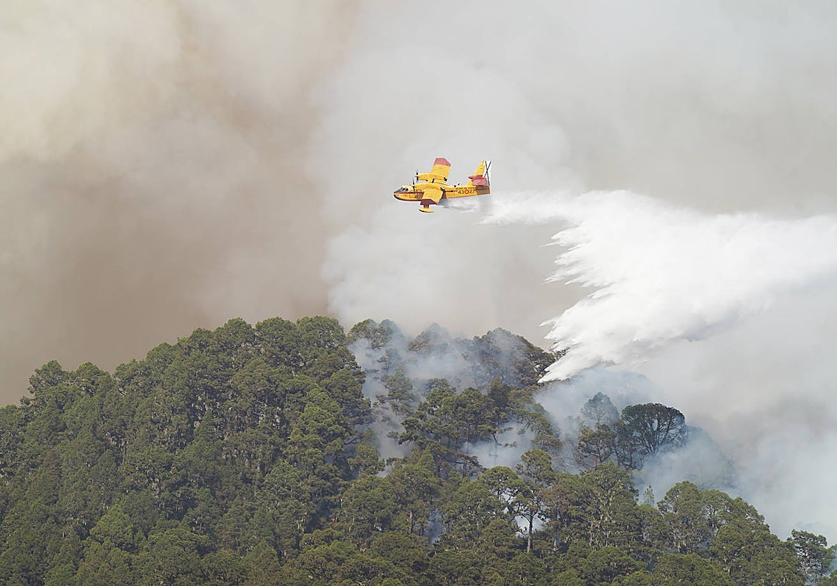 Un hidroavión lanza agua sobre el incendio forestal de  La Orotava, Tenerife