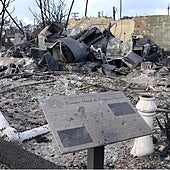 La próxima batalla en Maui: quién se quedará con la 'tierra quemada'