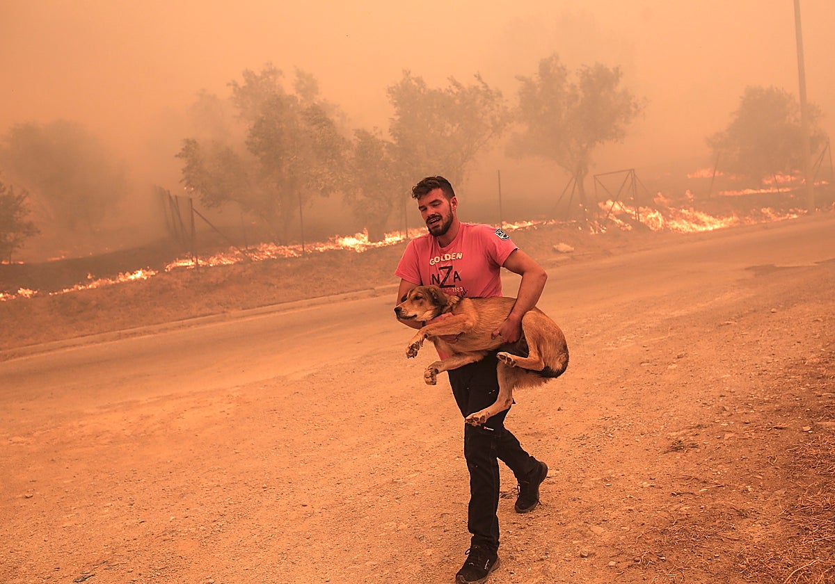 Un granjero evacua a su perro durante los incendios en la zona de Fyli, cerca de Atenas