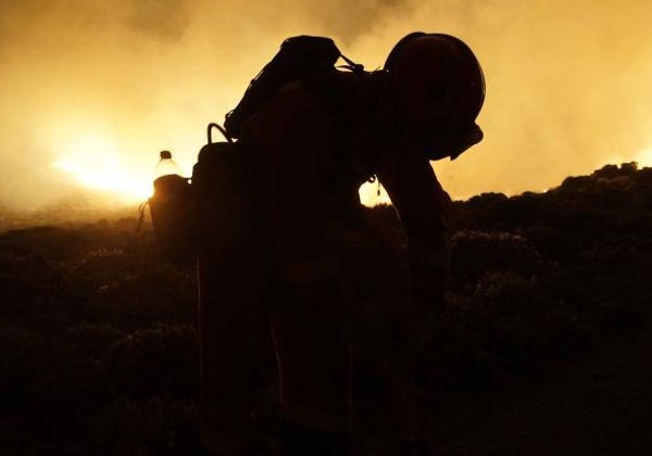 El incendio de Tenerife ya es el peor de lo que va de año en España