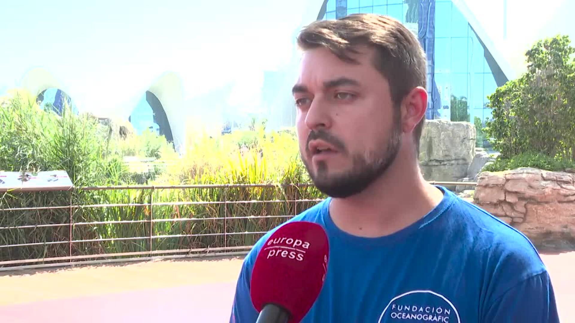 El aumento de temperatura en el Mediterráneo podría atraer medusas &quot;más peligrosas&quot;