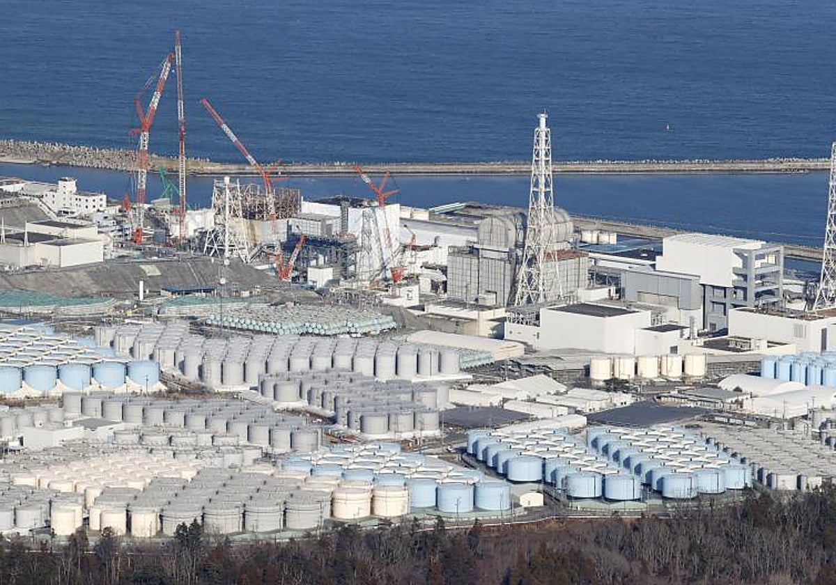 Japón descarta la contaminación de peces por el vertido nuclear de Fukushima