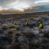 Tenerife llora su monte reducido a cenizas: «Se recuperará, pero eso lo verán mis hijos»