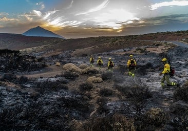 Tenerife llora su monte reducido a cenizas: «Se recuperará, pero eso lo verán mis hijos»