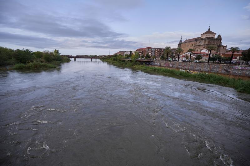 El rio Tajo a su paso por Talavera crecido por el efecto de la Dana