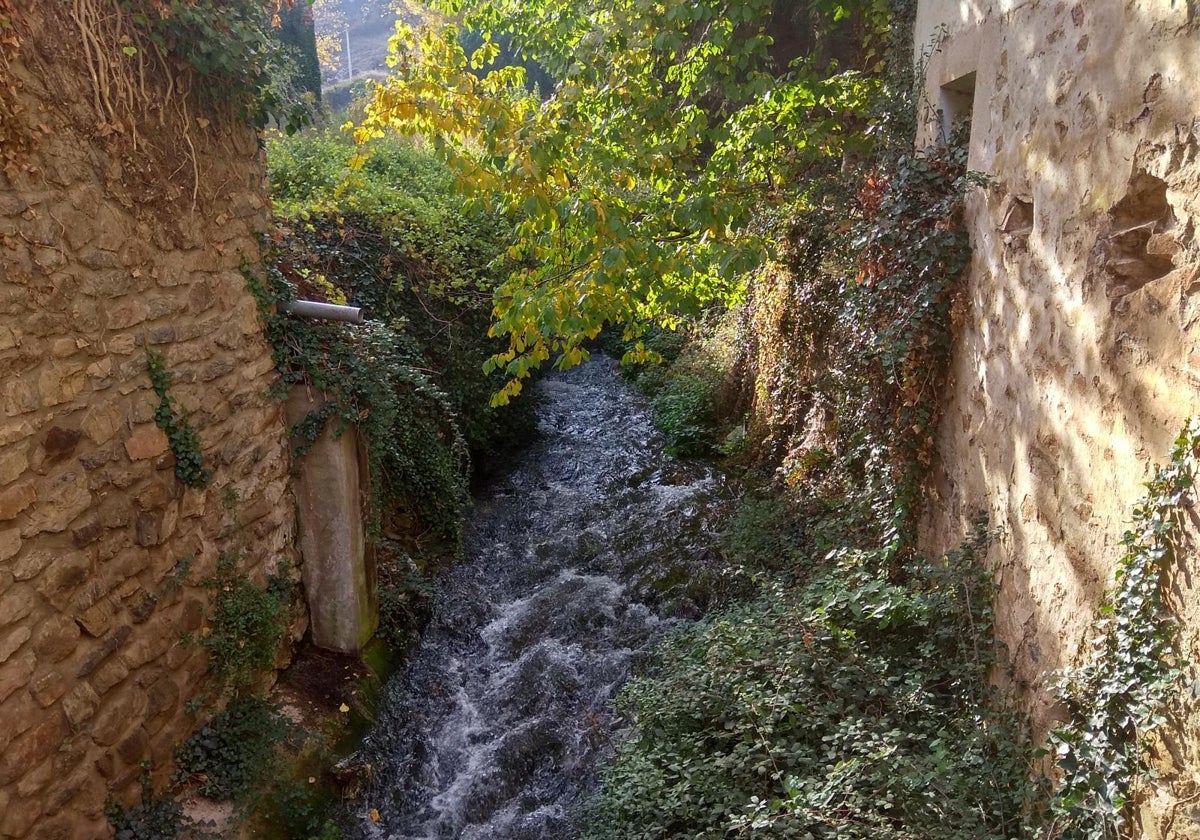 El río Queiles nace en el municipio soriano de Vozmediano para adentrarse a los pocos kilómetros en Aragón