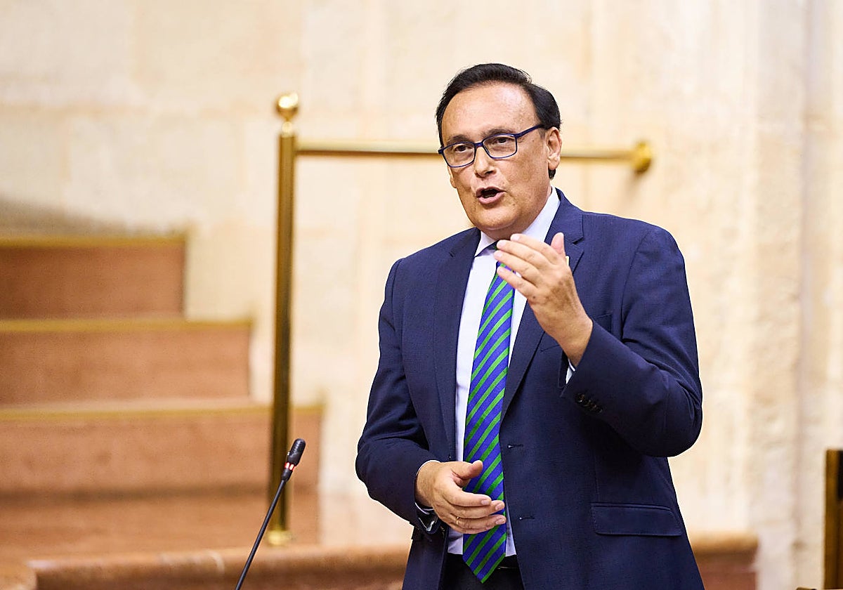 El consejero andaluz de Universidad, José Carlos Gómez Villamandos, durante el pleno
