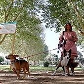 Los lugares públicos donde no te podrán impedir entrar con tu mascota con la nueva ley de bienestar animal