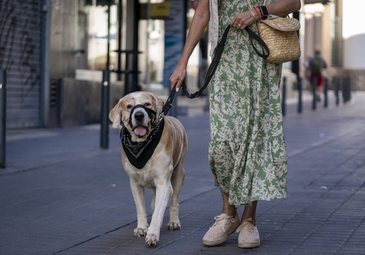 los perros pueden viajar en el metro de paris