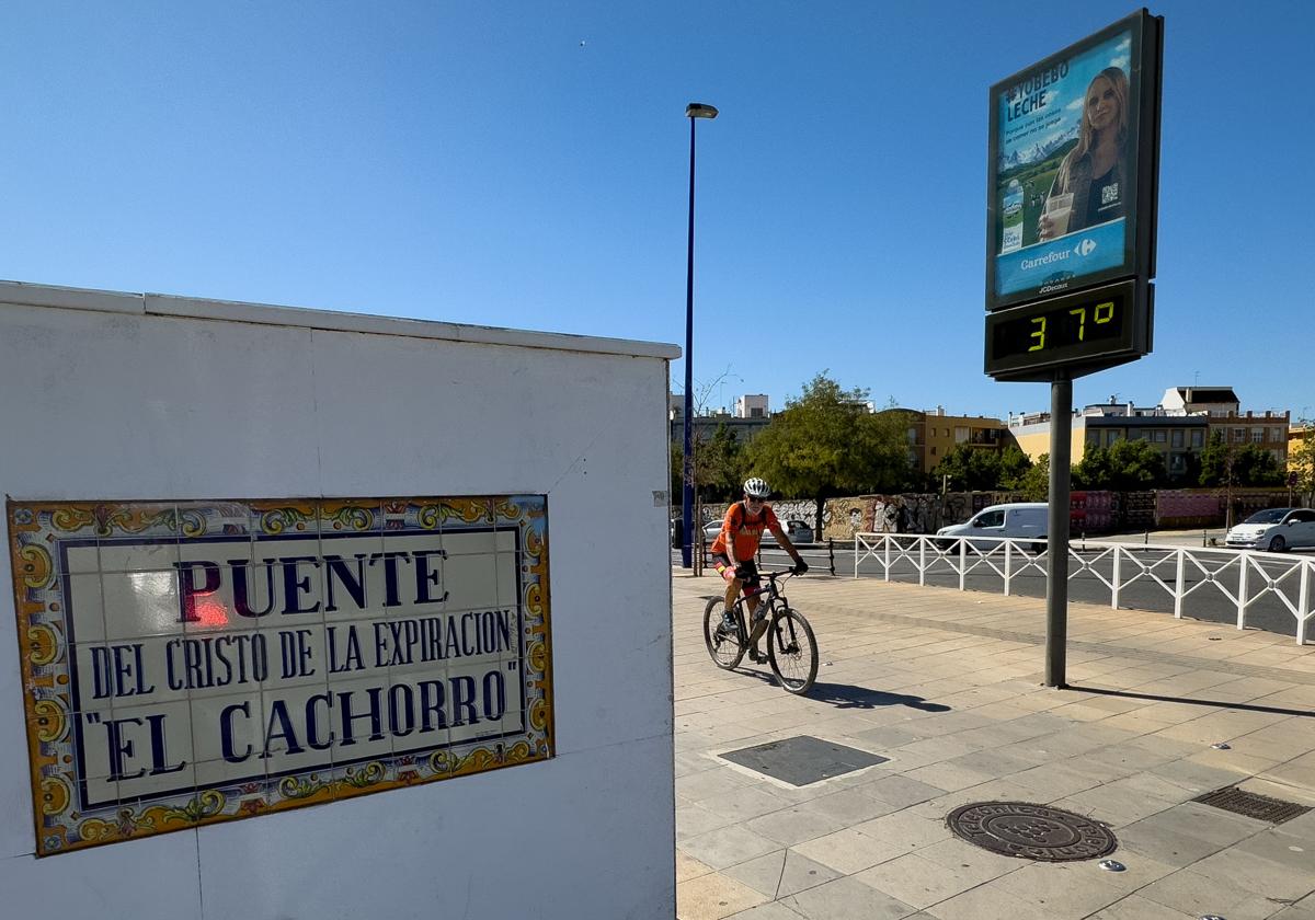 Una persona monta en bicicleta por el puente de «El Cachorro» de la capital hispalense junto a un termómetro urbano que marca los 37 grados Celsius