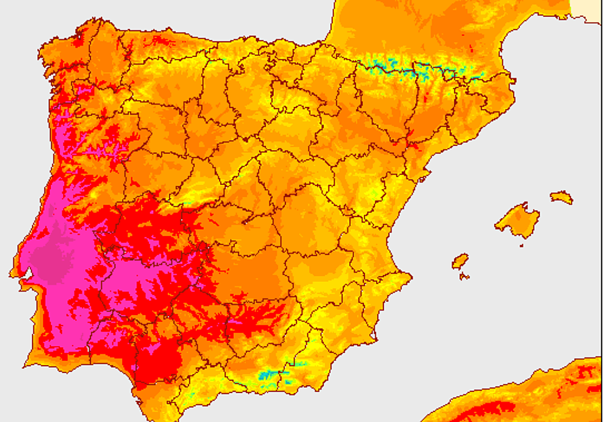 Una mujer y su perro pasean por la playa del Orzán, en A Coruña, con el cielo cubierto por la niebla